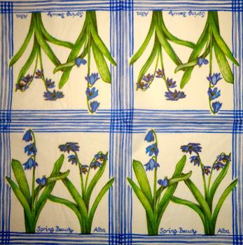 067 Daffodils - 3-ply - Daisy